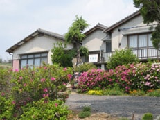 Penampilan gambar