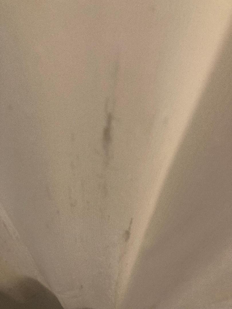 IMG_9874.jpeg