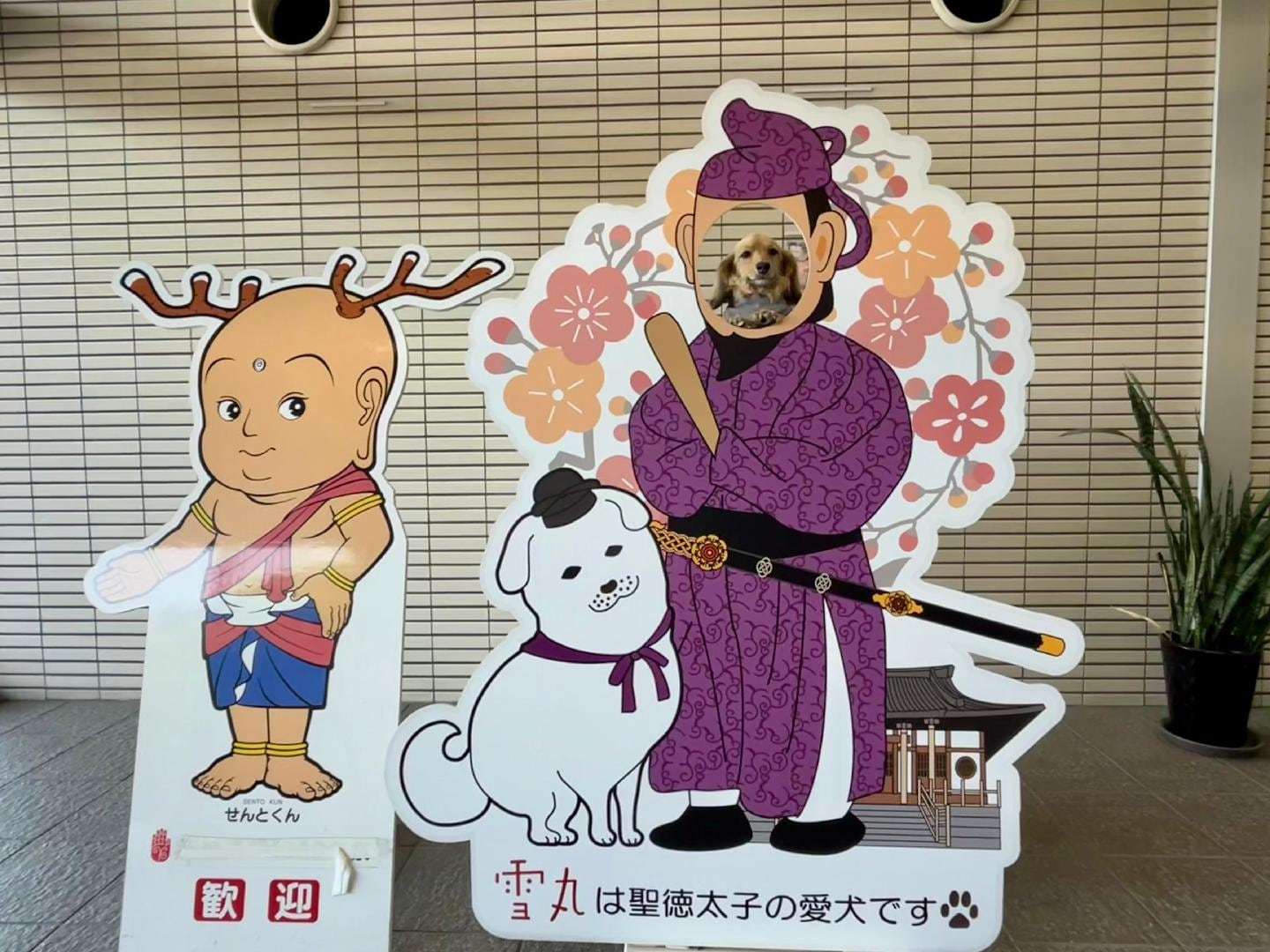 IMG_5995.jpeg