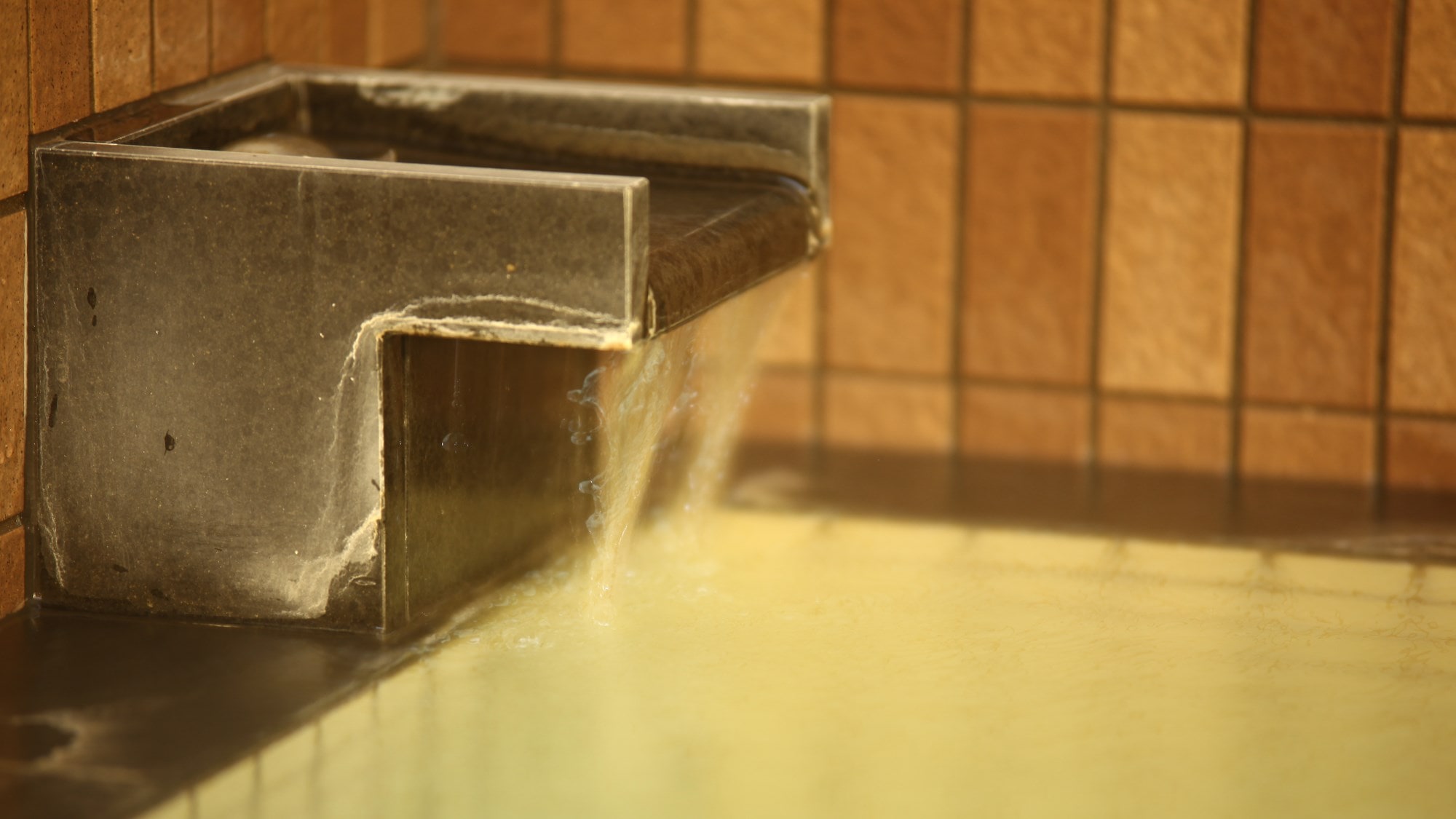 Source mouth... It's a free-flowing hot spring from the Dogo hot spring.