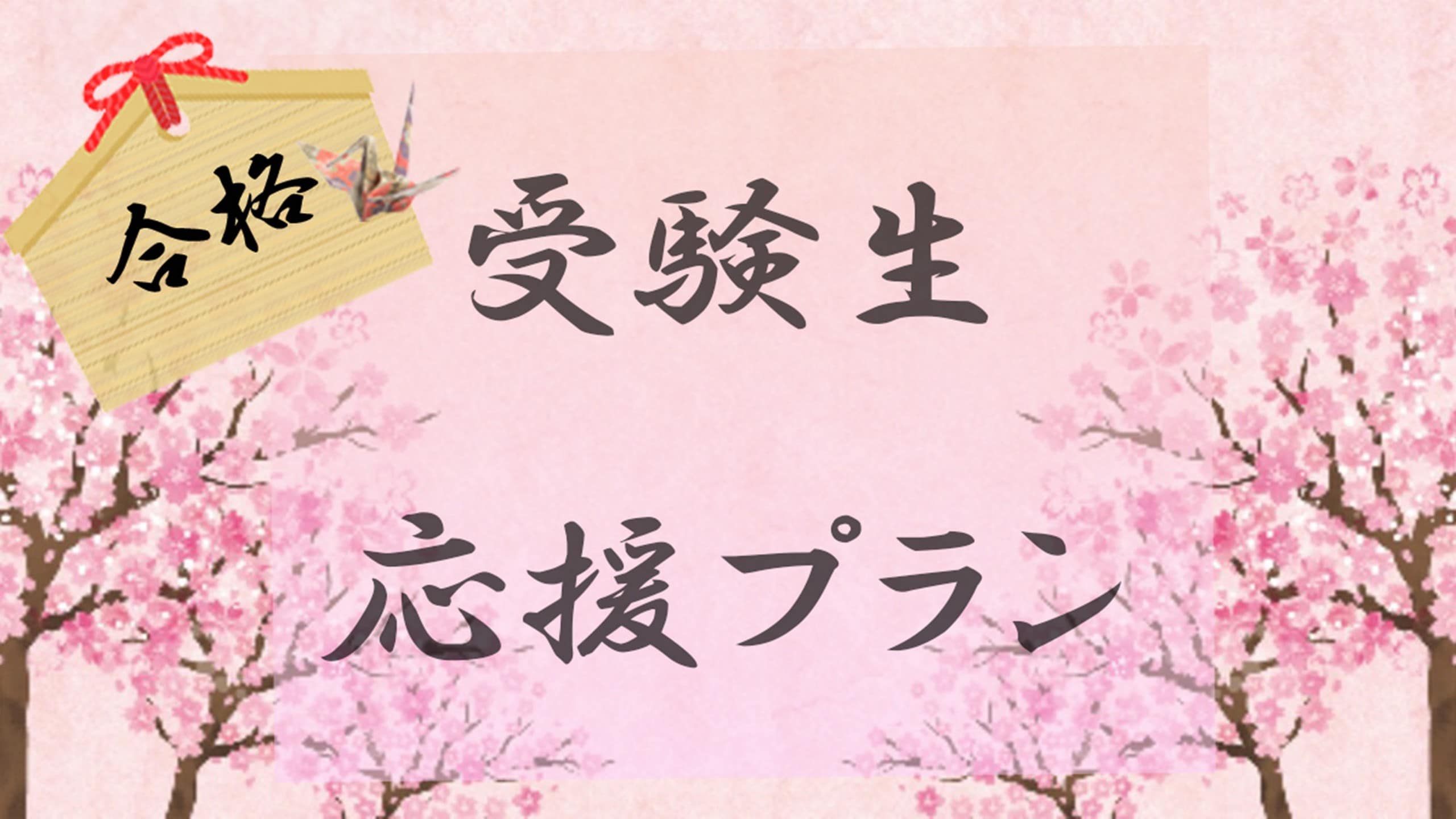 受験生プラン