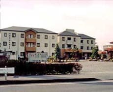 Appearance image