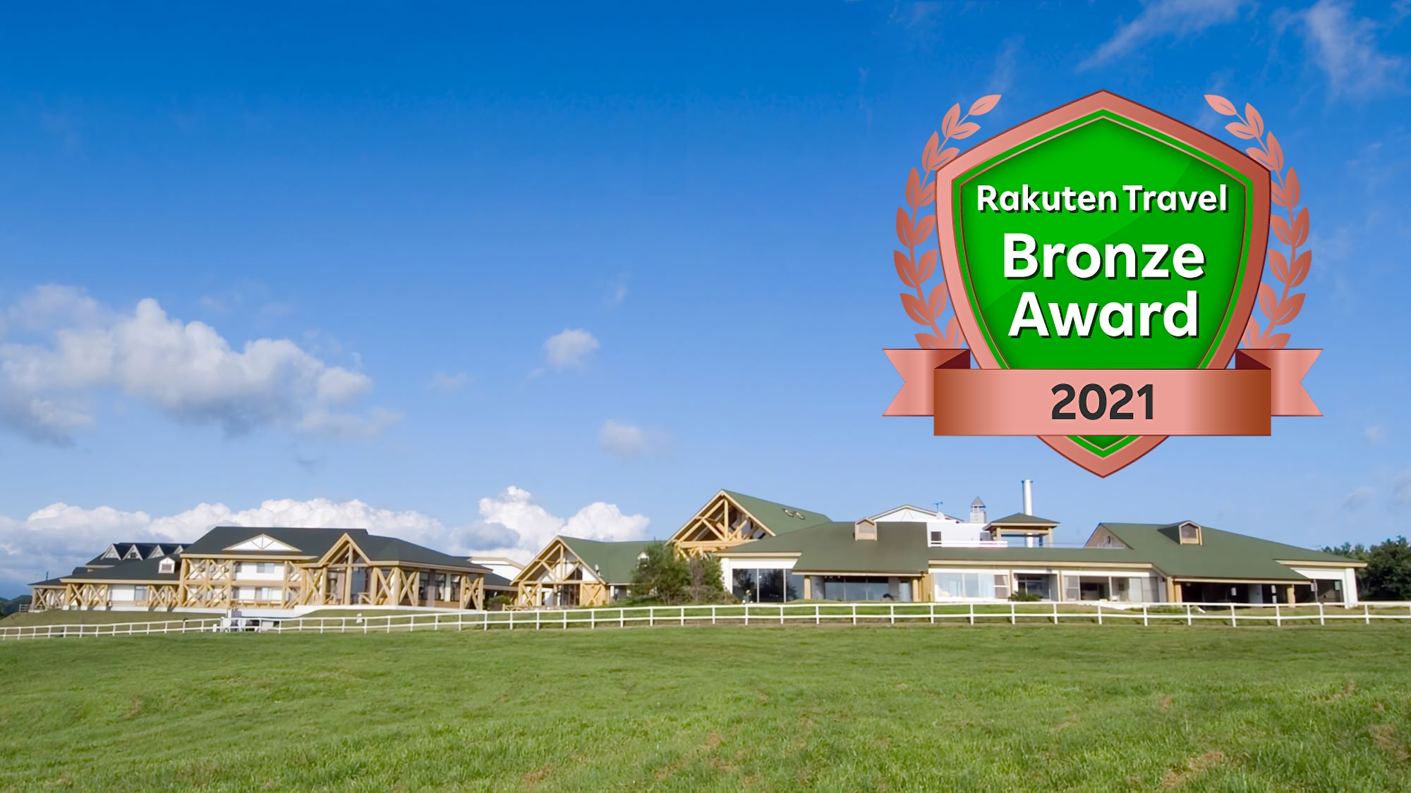 2021 Bronze Award Winner Appearance image