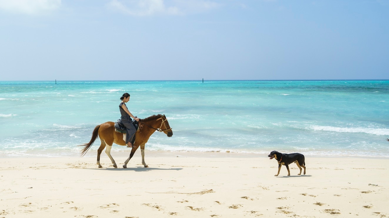 Horse riding experience at Eef Beach ♪