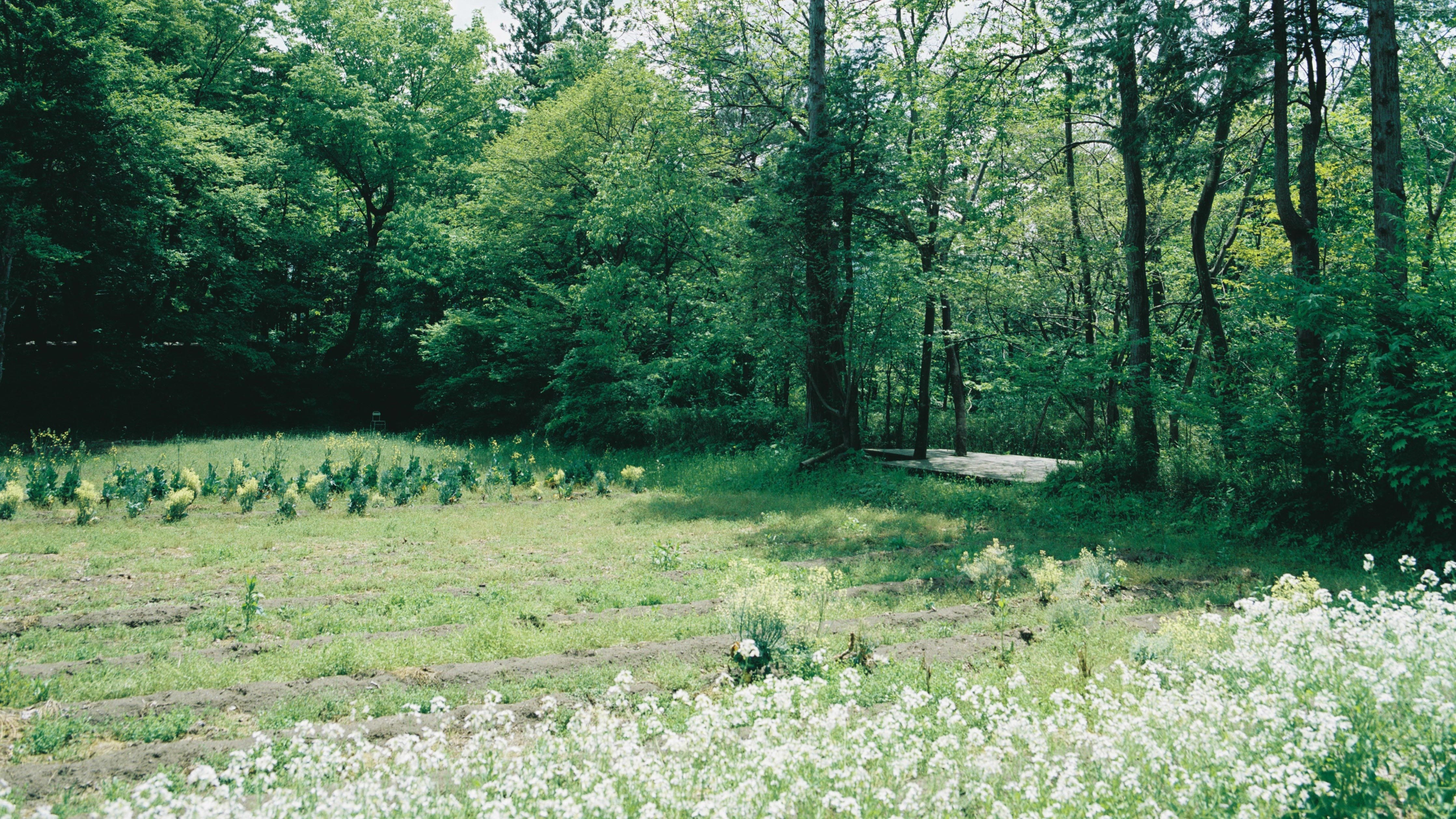 Home garden