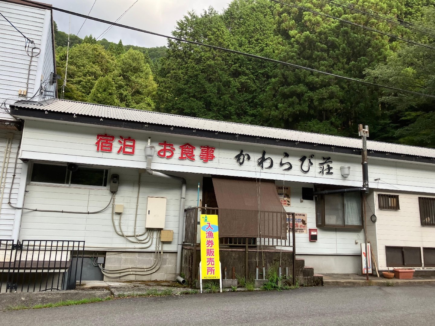 IMG_8476.jpeg