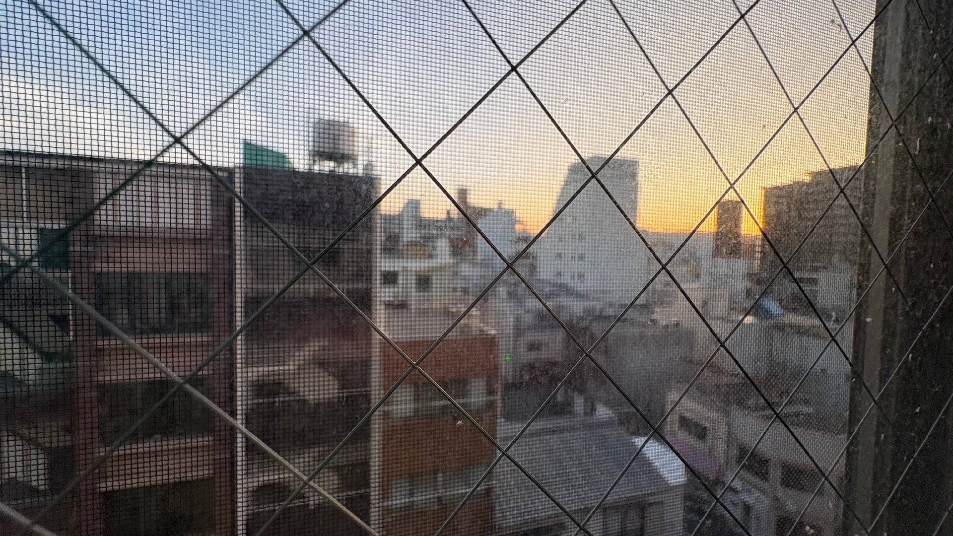 IMG_3974.jpeg