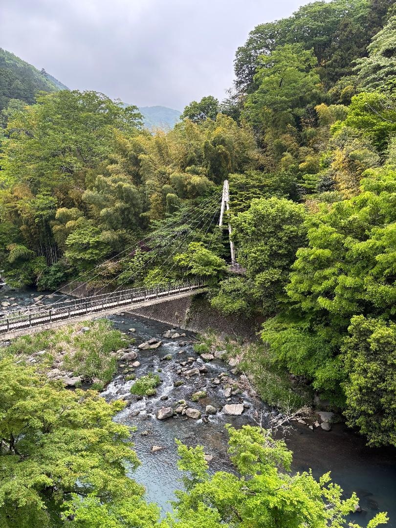 765ED054-7C0E-4E73-ABA1-DBFEB149FF91.jpeg