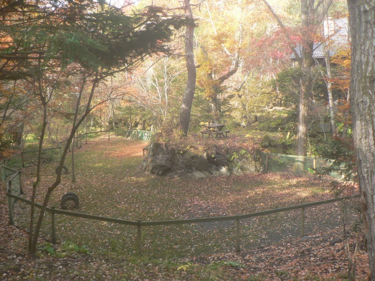Free dog run for guests