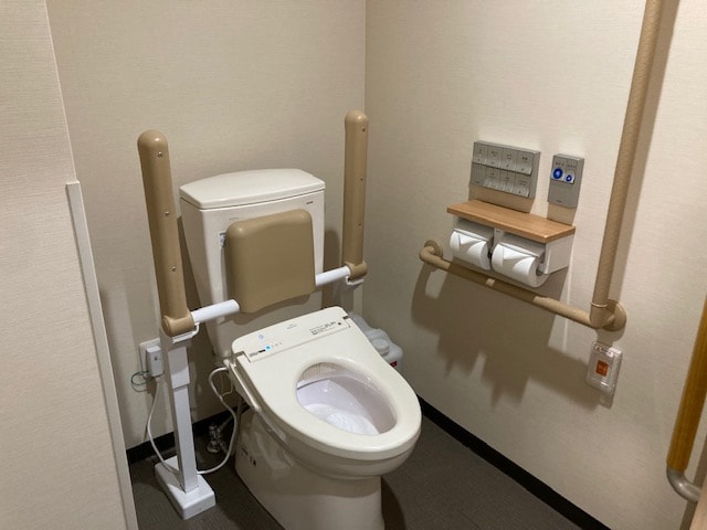 Deluxe double toilet