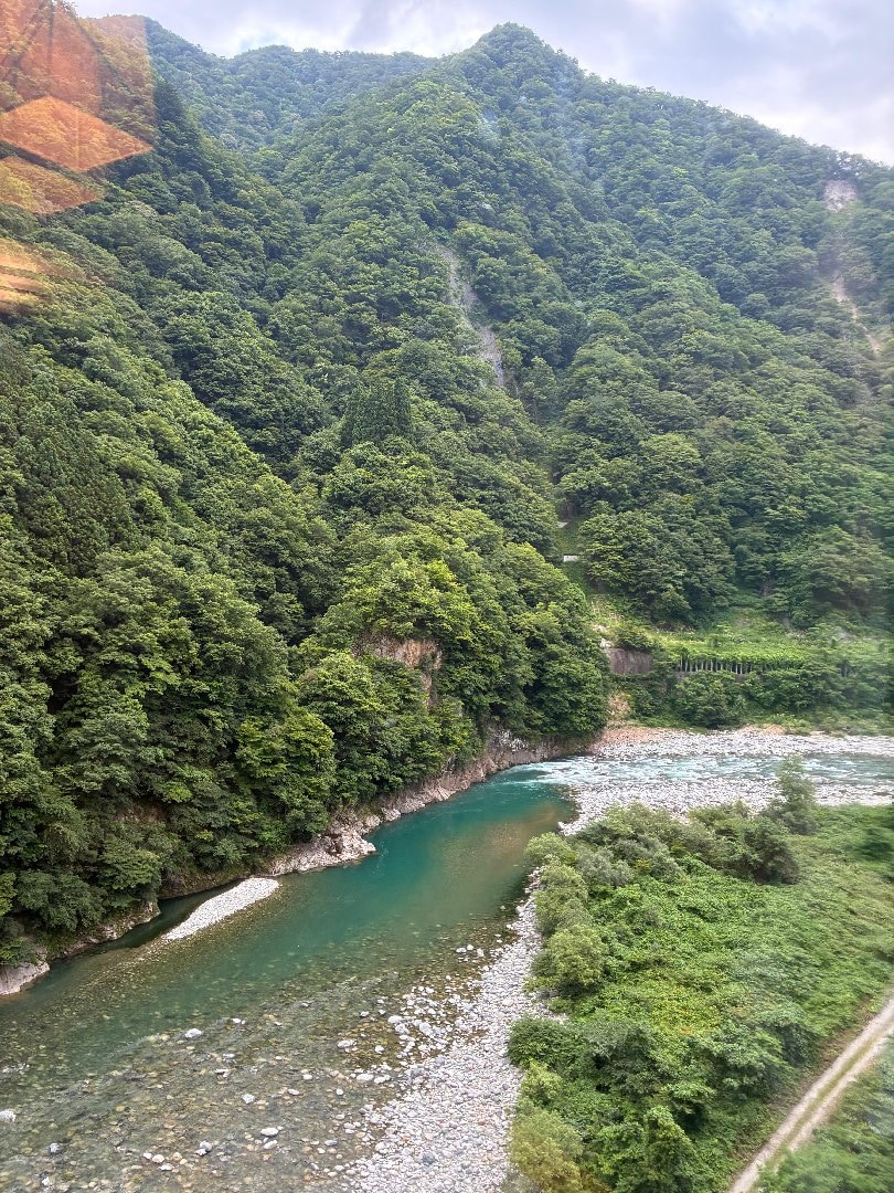 7A193799-491B-4957-8DA7-0D10B11455A7.jpeg