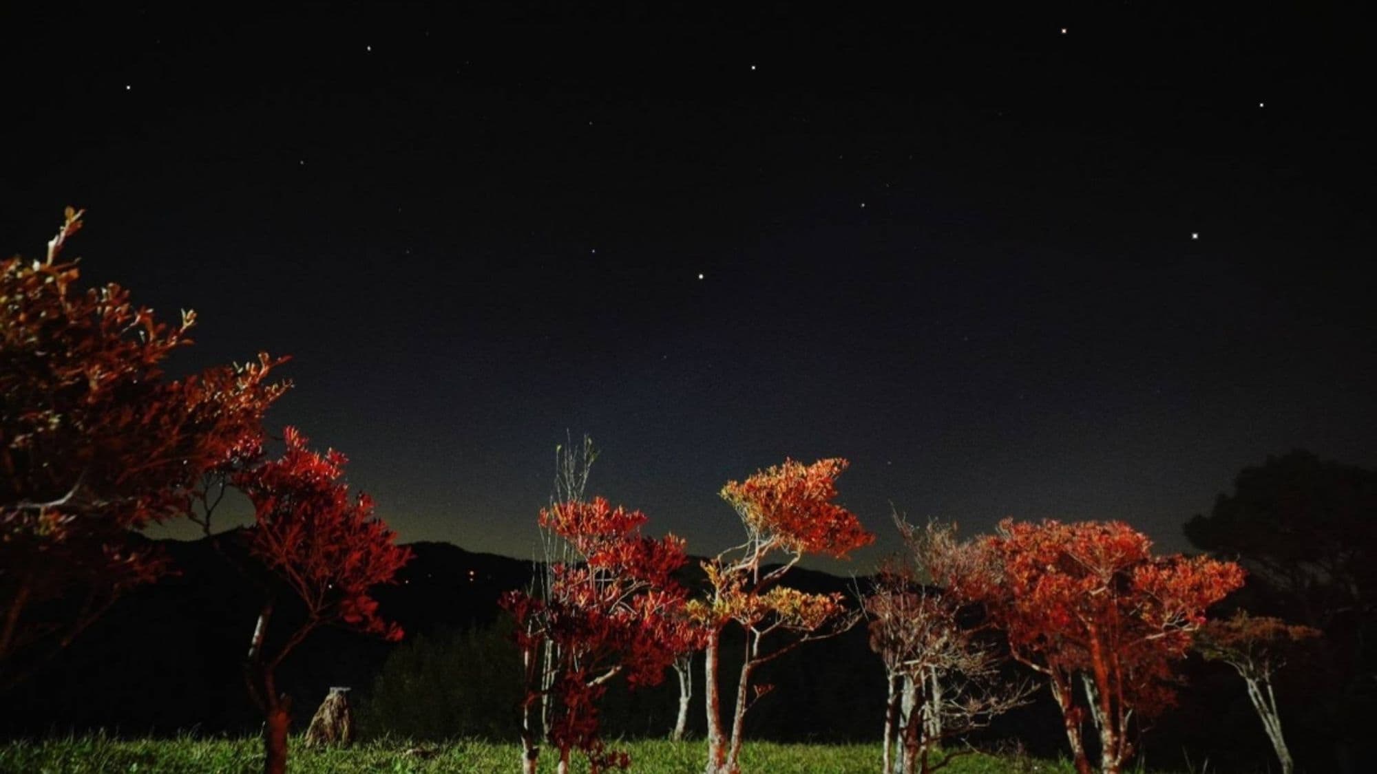 Starry sky from the garden - for autumn plans