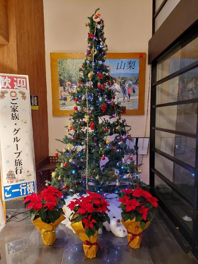 20251204_173234　玄関のクリスマスツリー.jpg
