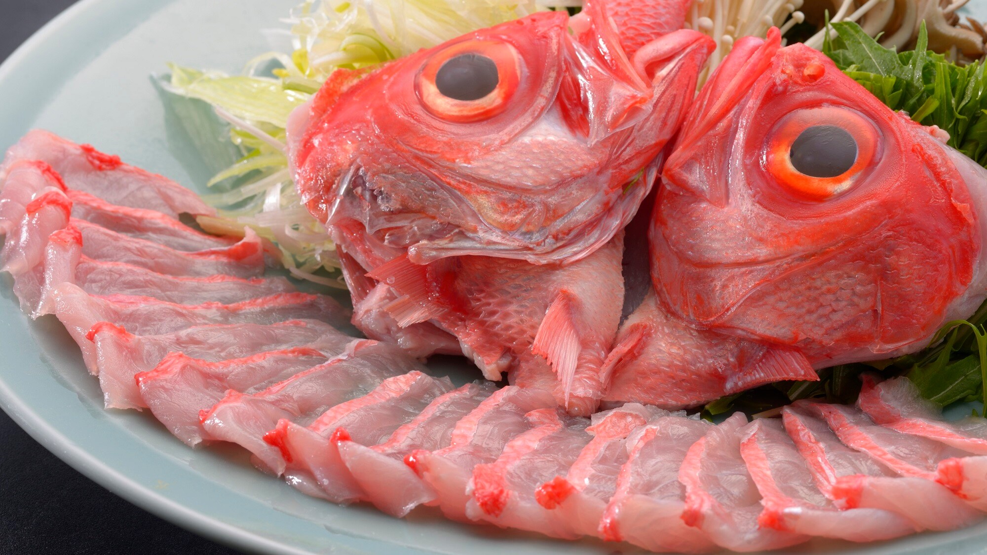 Kế hoạch Shabu mắt vàng