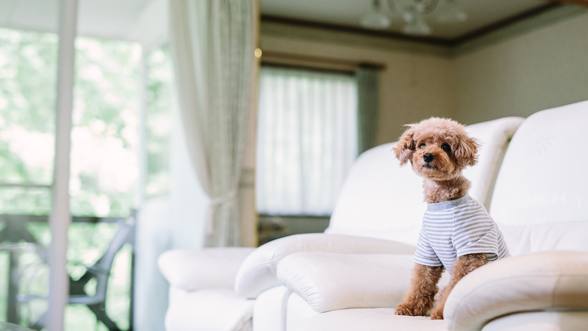 [Main building] Heal your dog's fatigue from traveling in a quiet environment♪