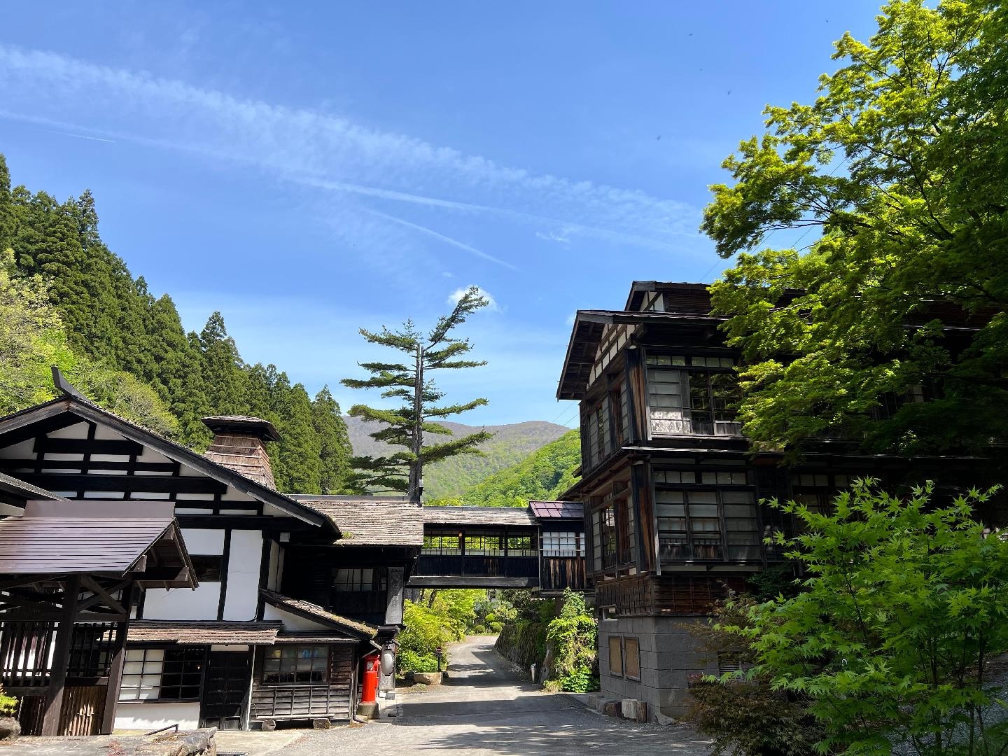 IMG_3263.jpeg