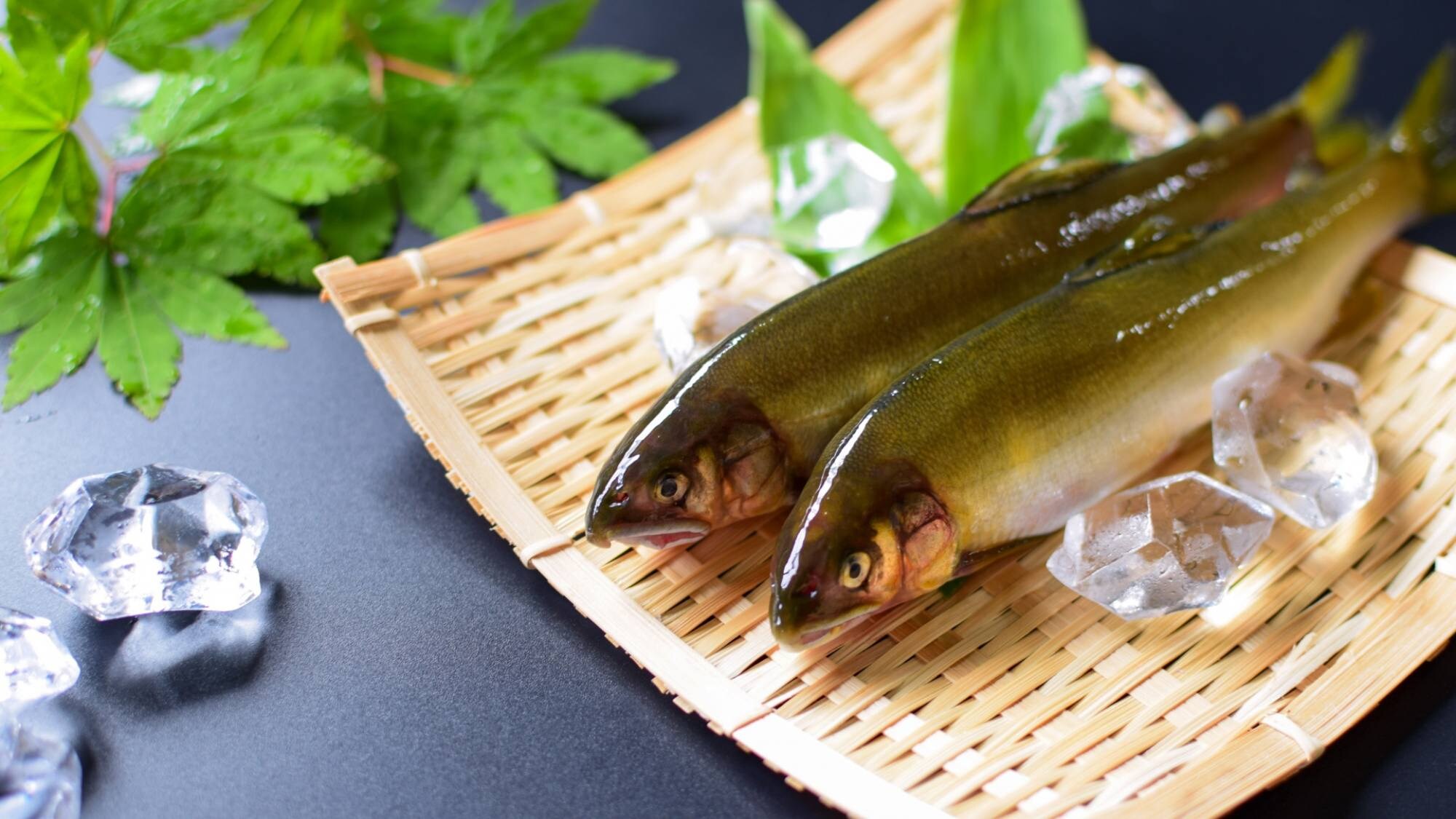 Enjoy the summer delicacy, sweetfish, grilled with salt!