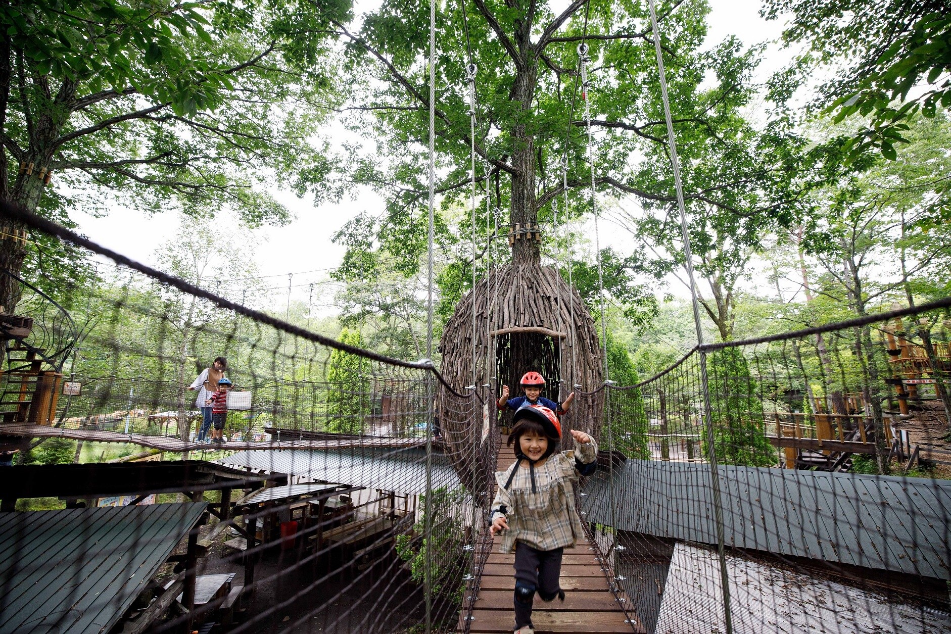 Exciting Adventure Forest