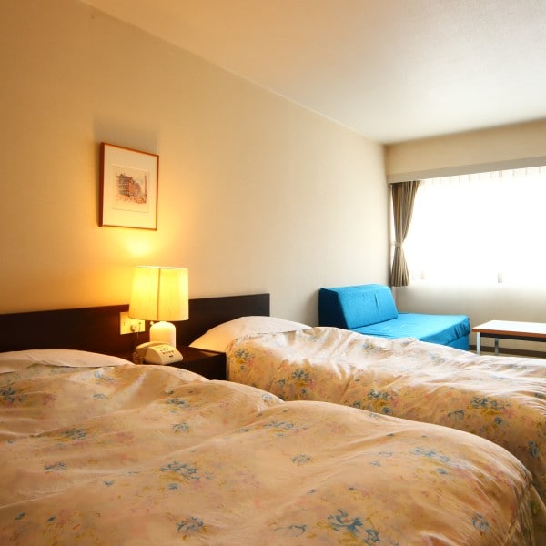 Room Type Twin