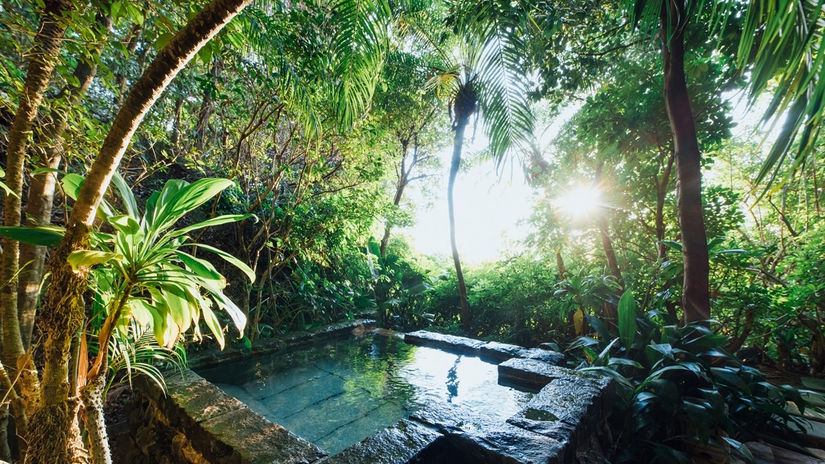 프리미엄 VillaC의 노천탕