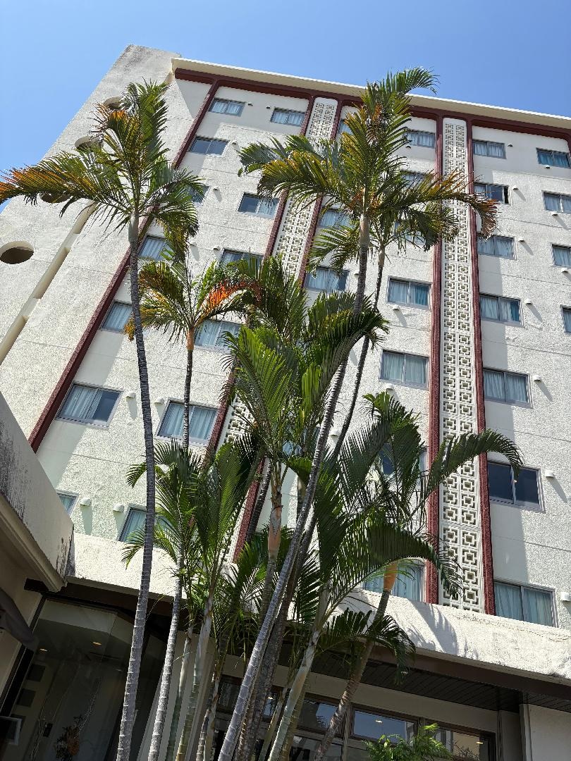 BE2D4921-DA15-4335-B40C-3B9A5E8E42C8.jpeg