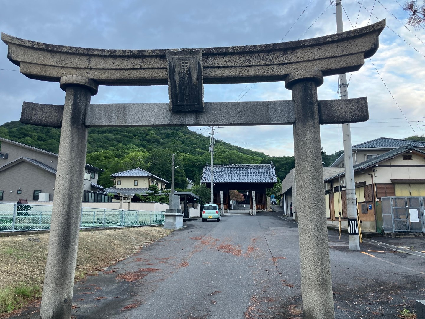 IMG_6191.jpeg