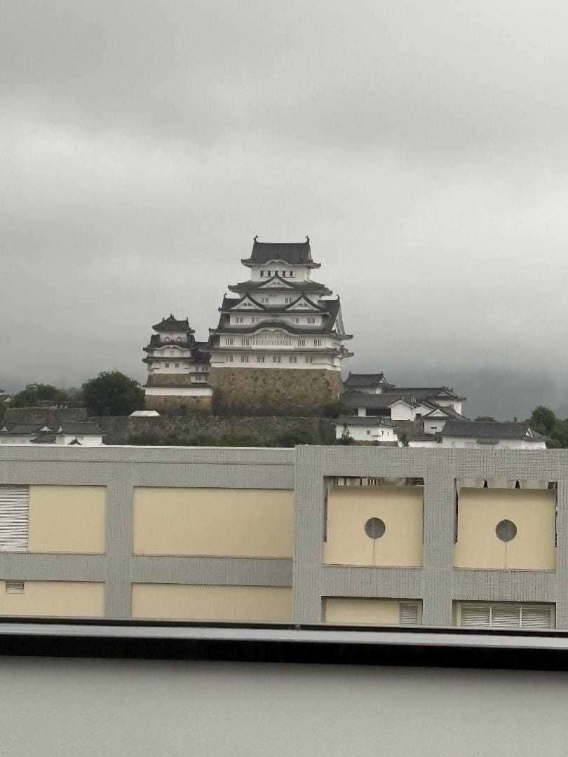 IMG_2076.jpeg