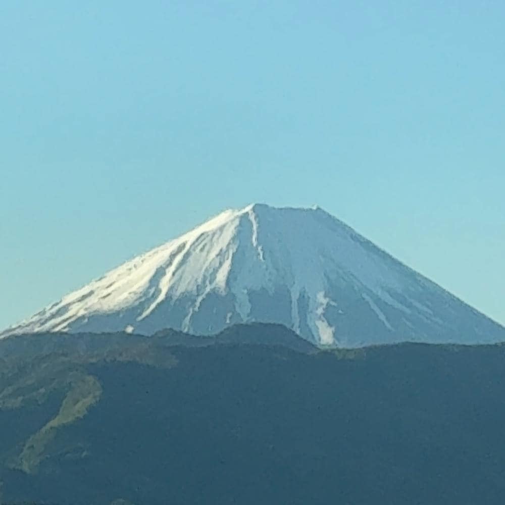 IMG_6947.jpeg