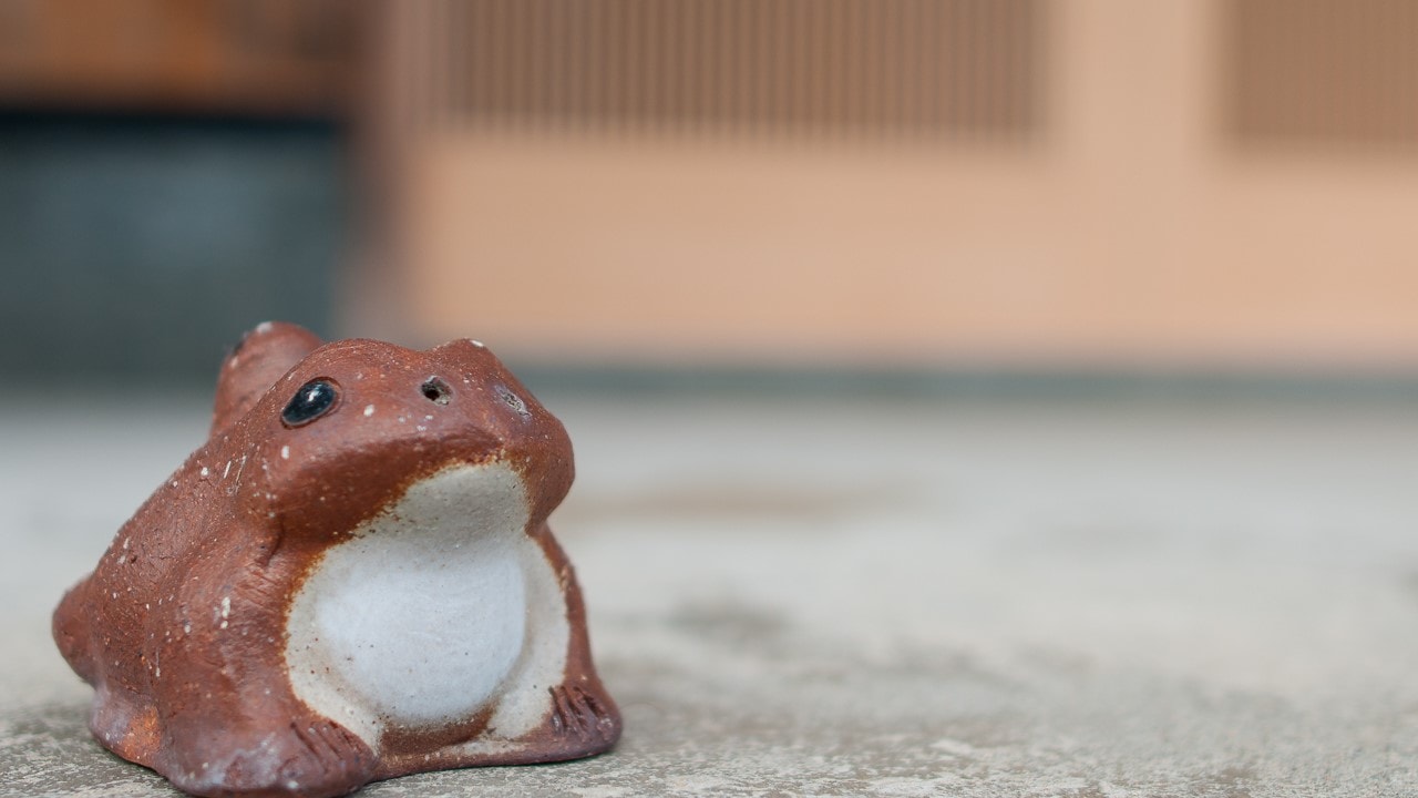 Welcome back! Frog greets us.
