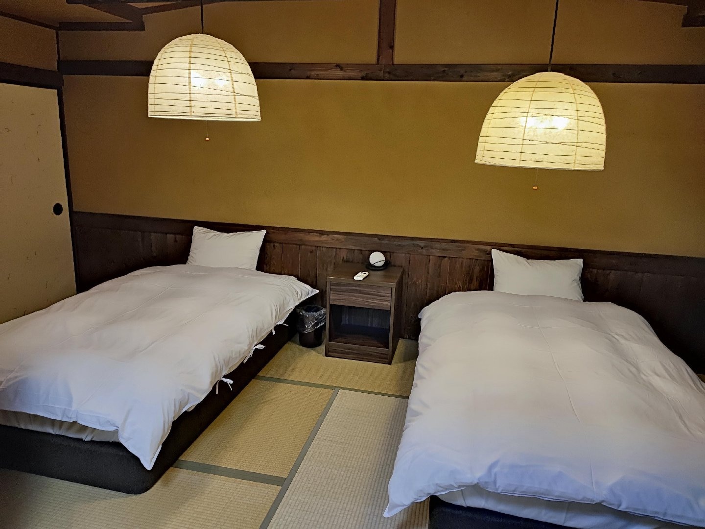 1000028232.jpg