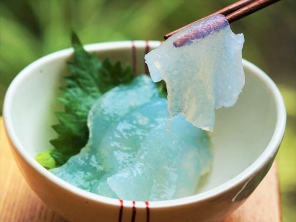 Zenji 的生蒟蒻