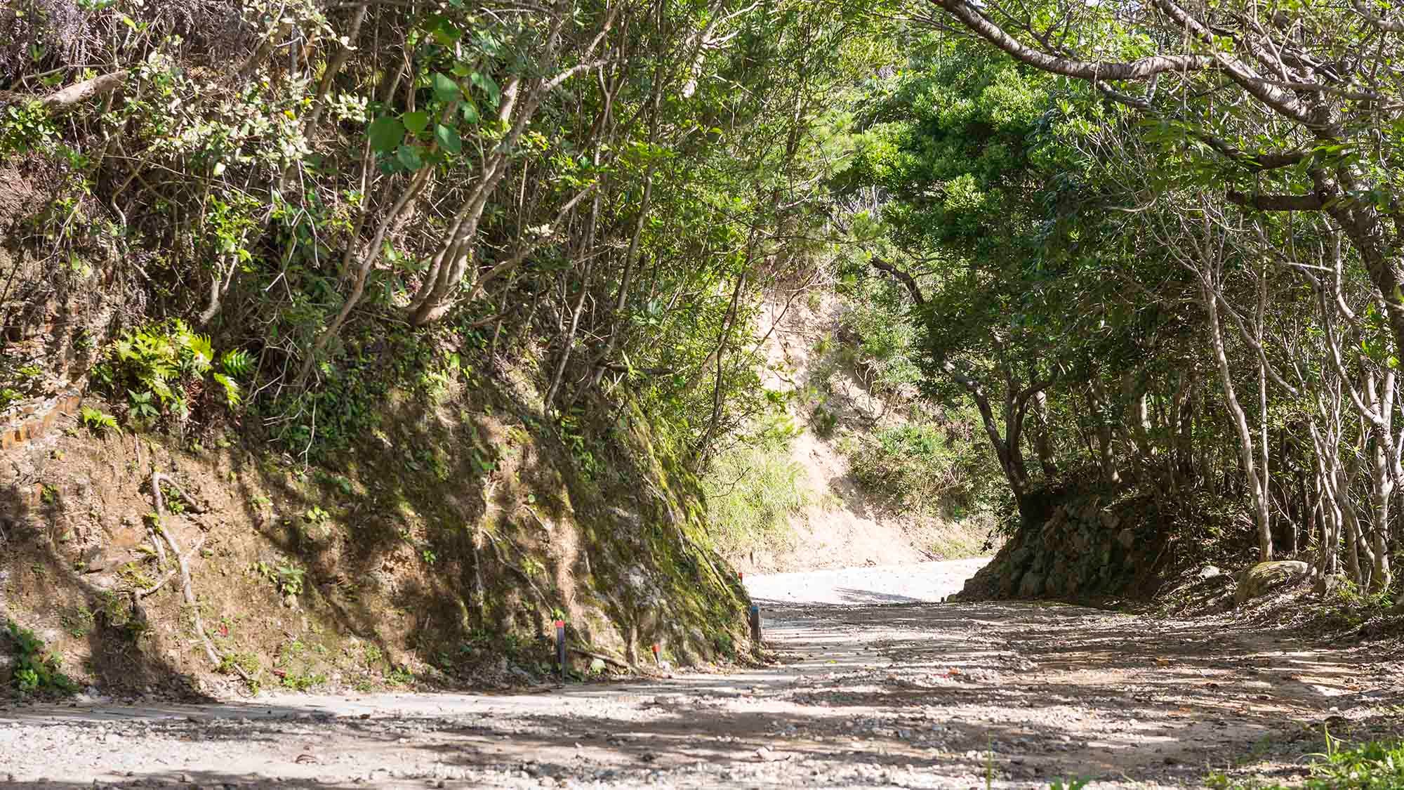 ・[Nearby] A stroll while looking out over the Kumano Sea is a special experience.