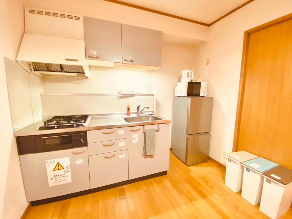 Living room and kitchen