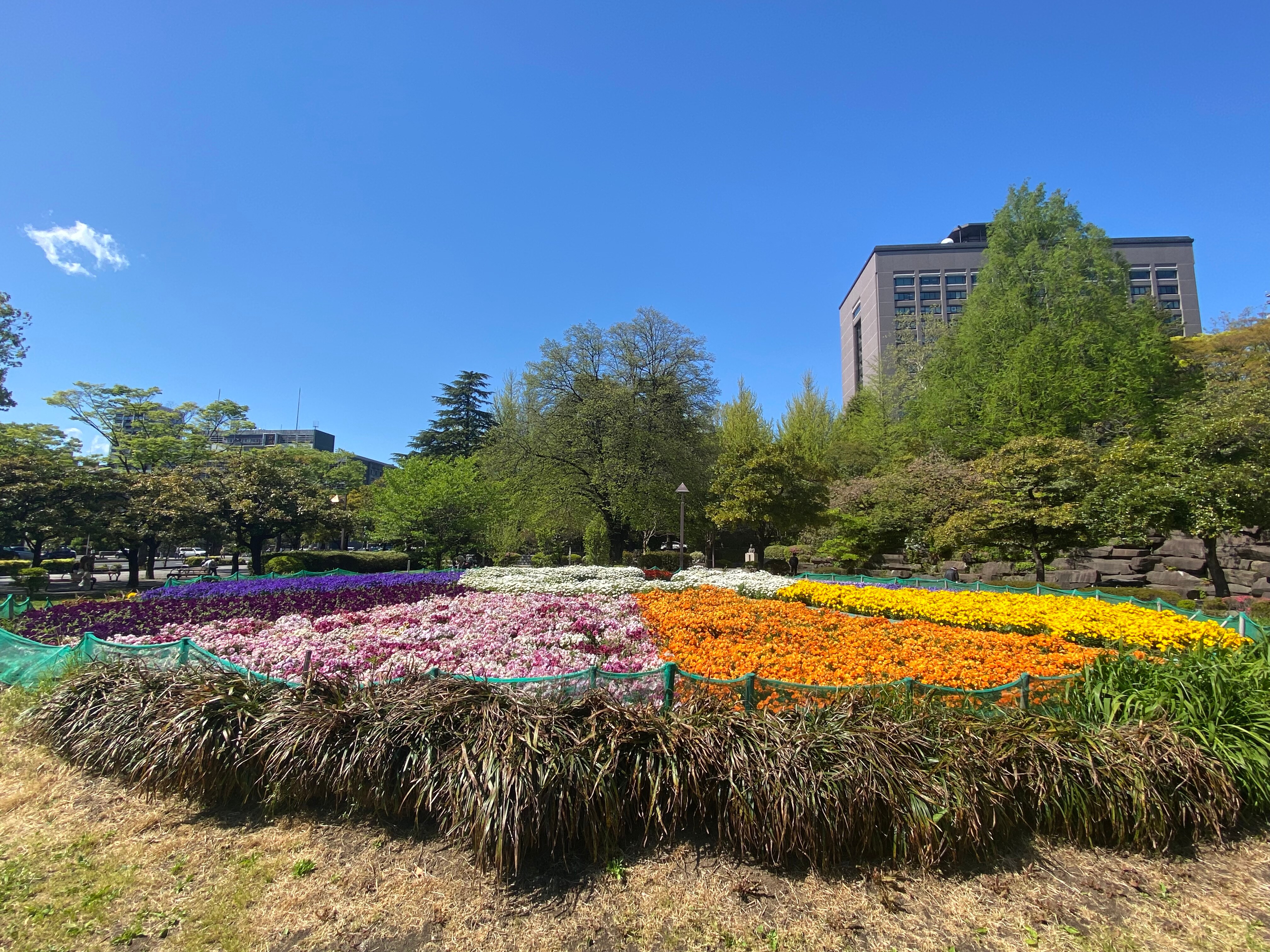 Kotodai Park
