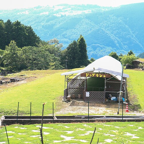*[Dog run] It's great to be able to play even in the rain!