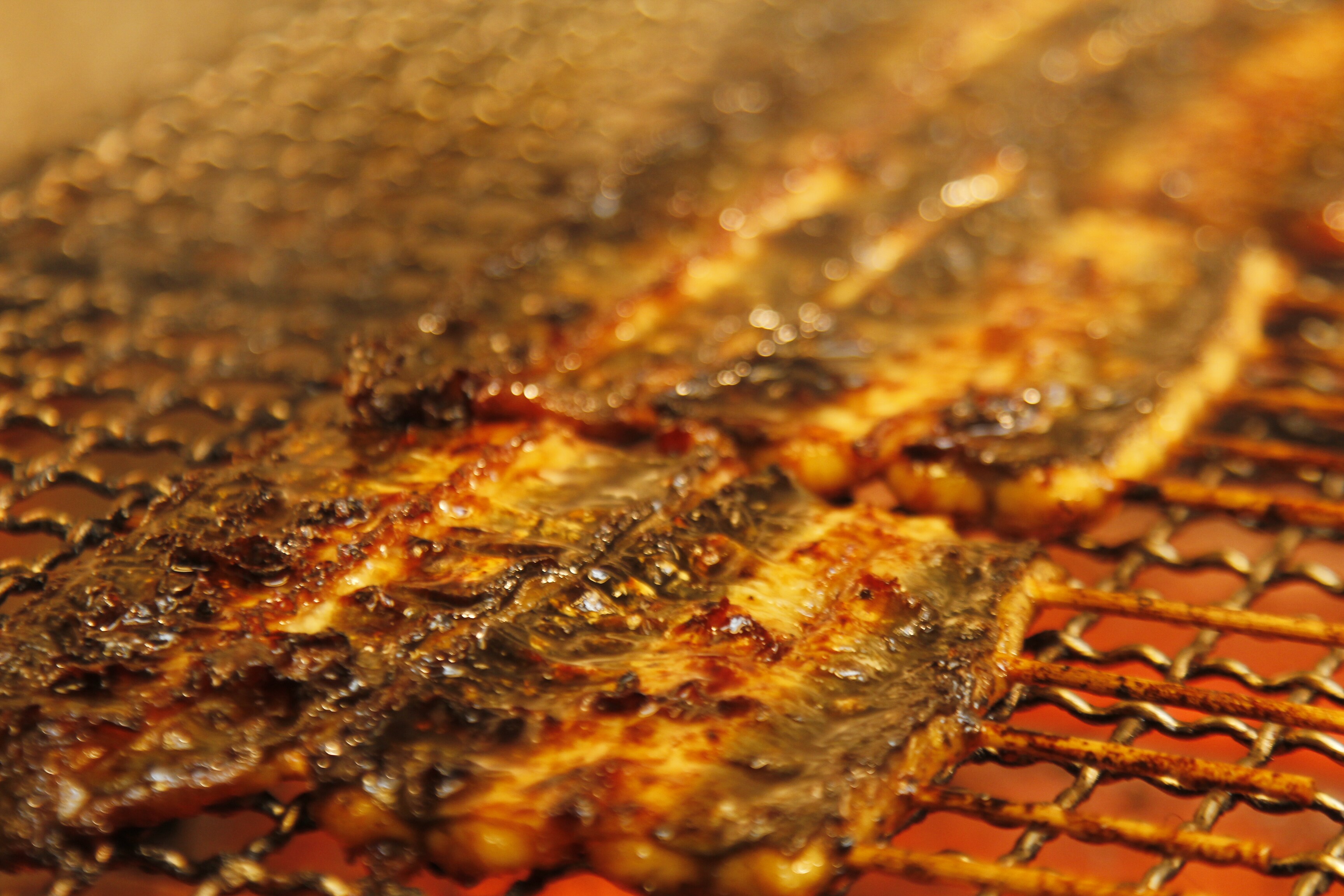 Grilled eel