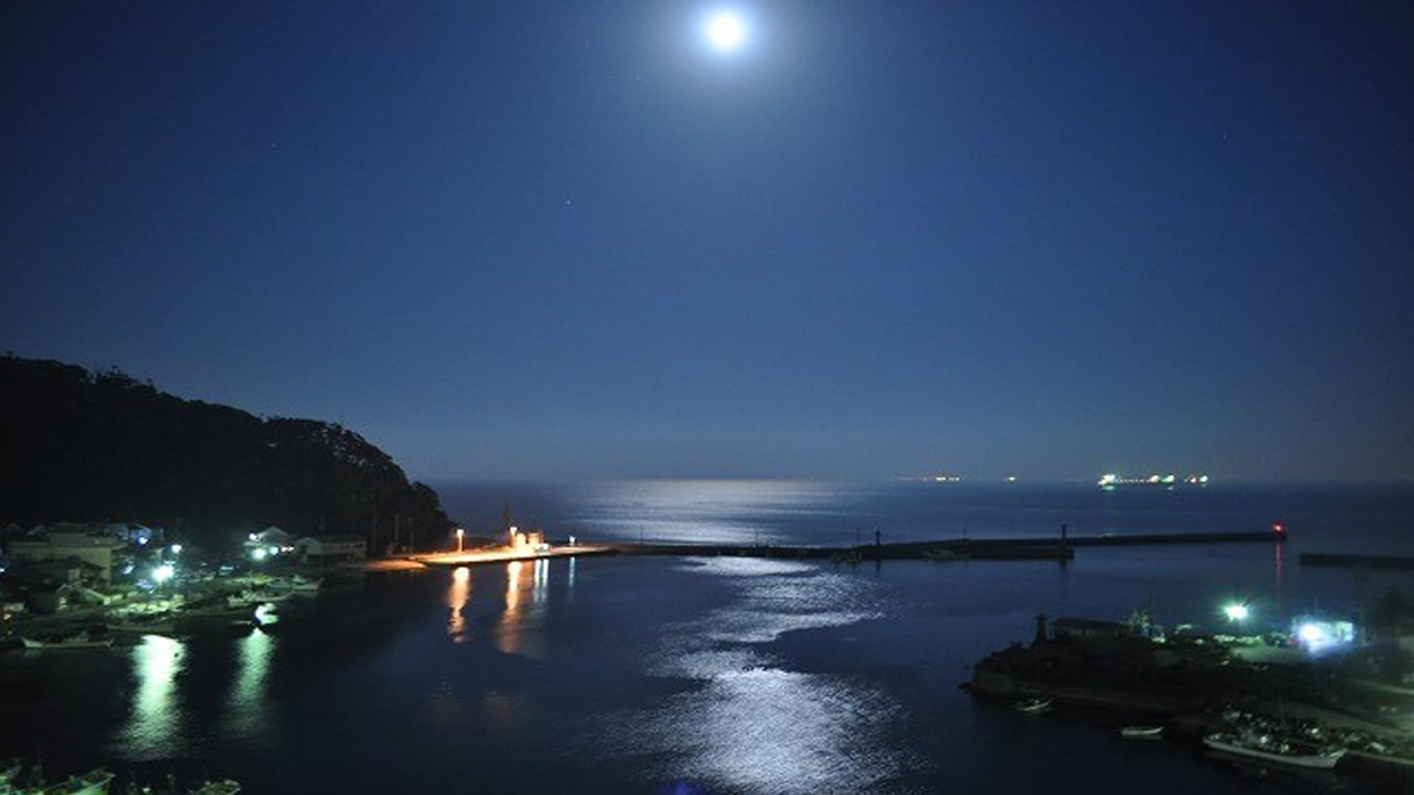 [Miho Bay] Night view