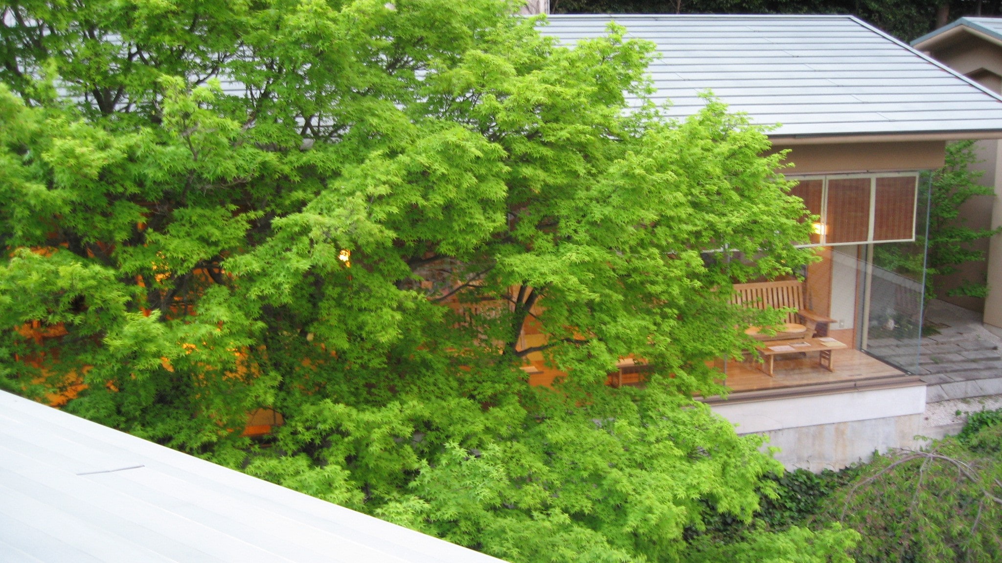 ล็อบบี้ฤดูร้อน