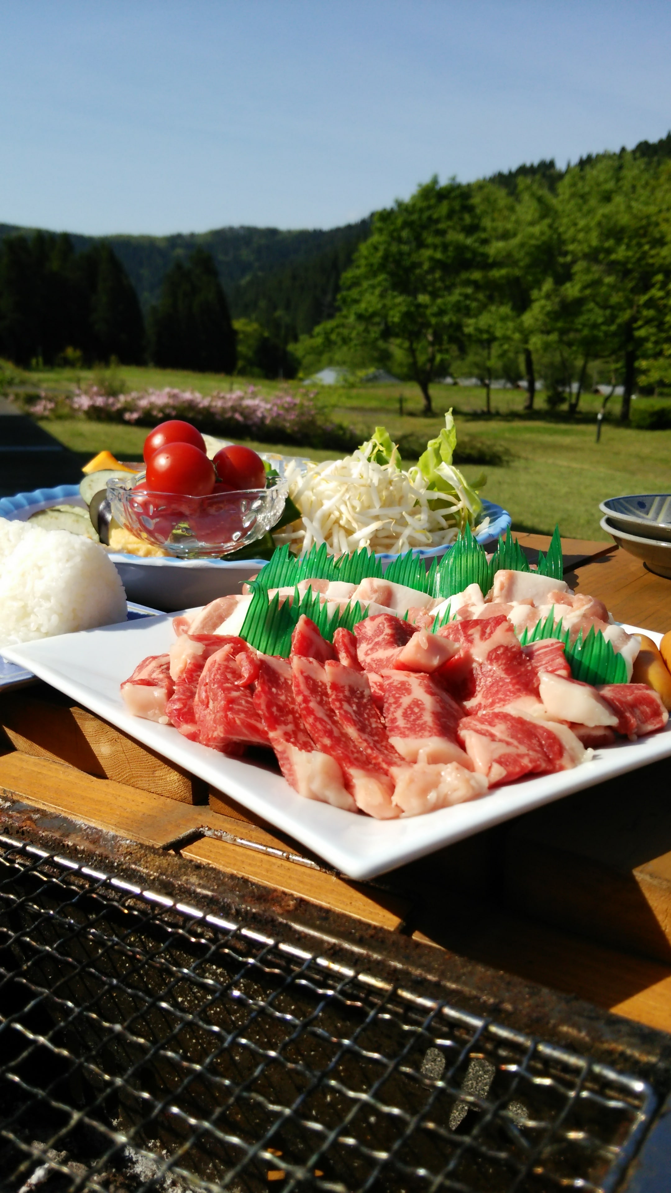 Barbecue vertical type 1
