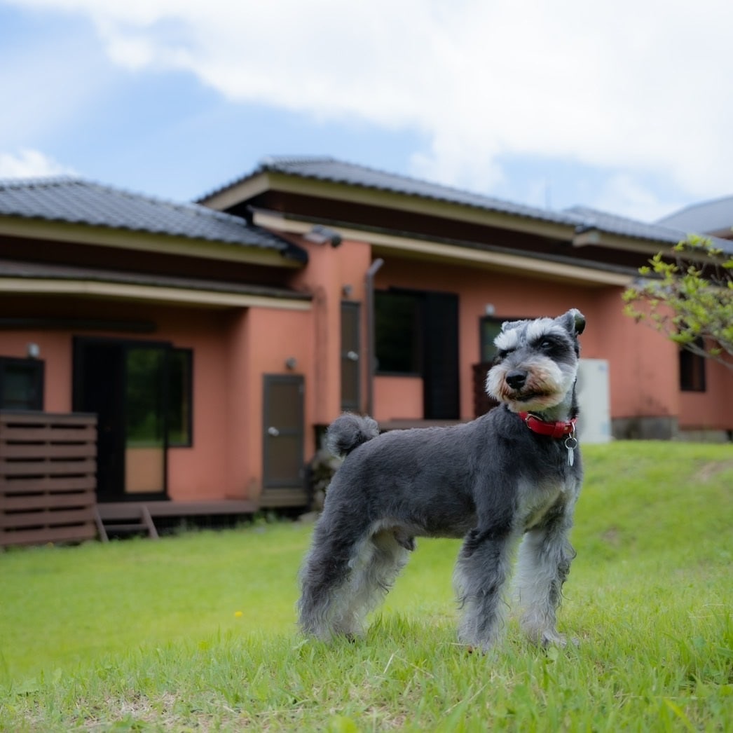 Includes a dedicated dog run using natural grass from the national park