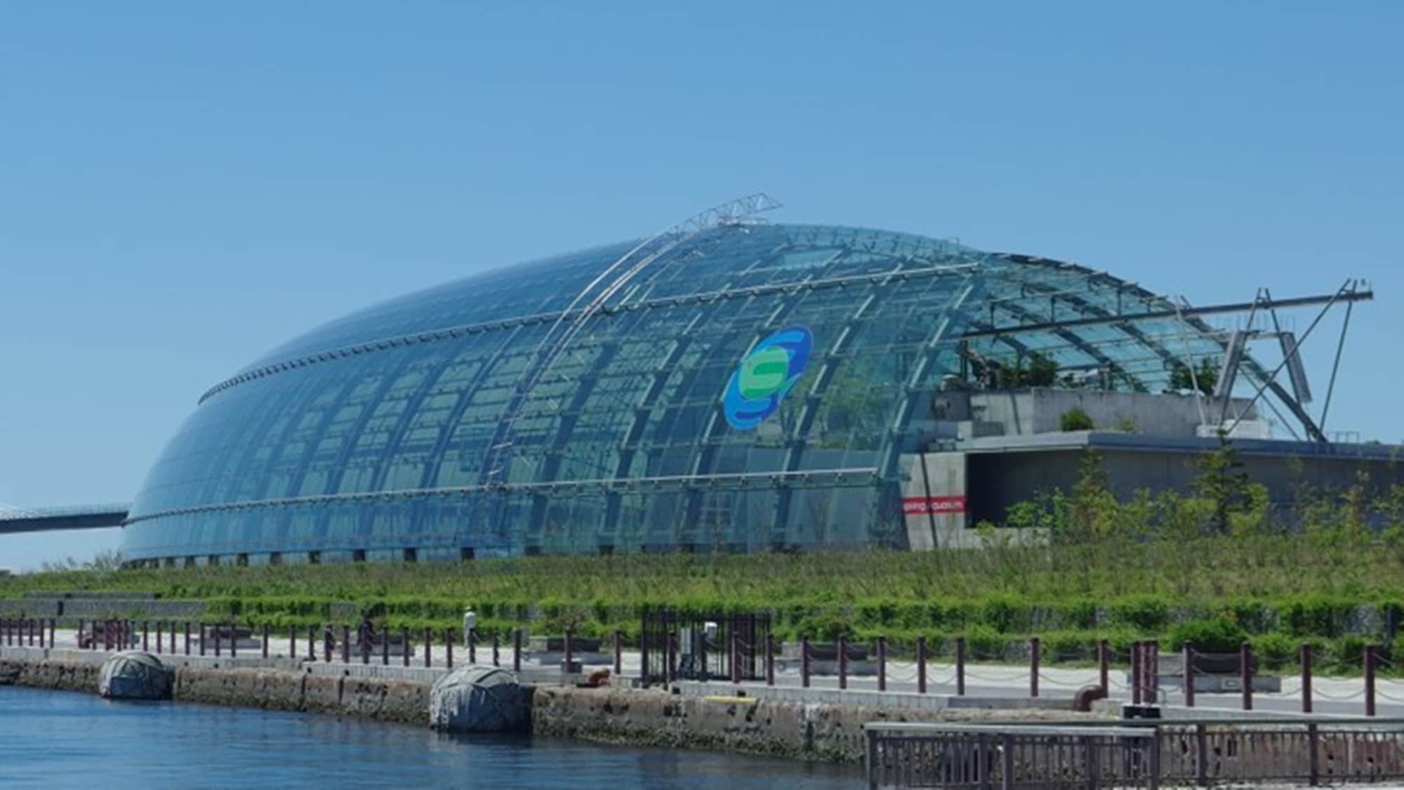 *Aquarium