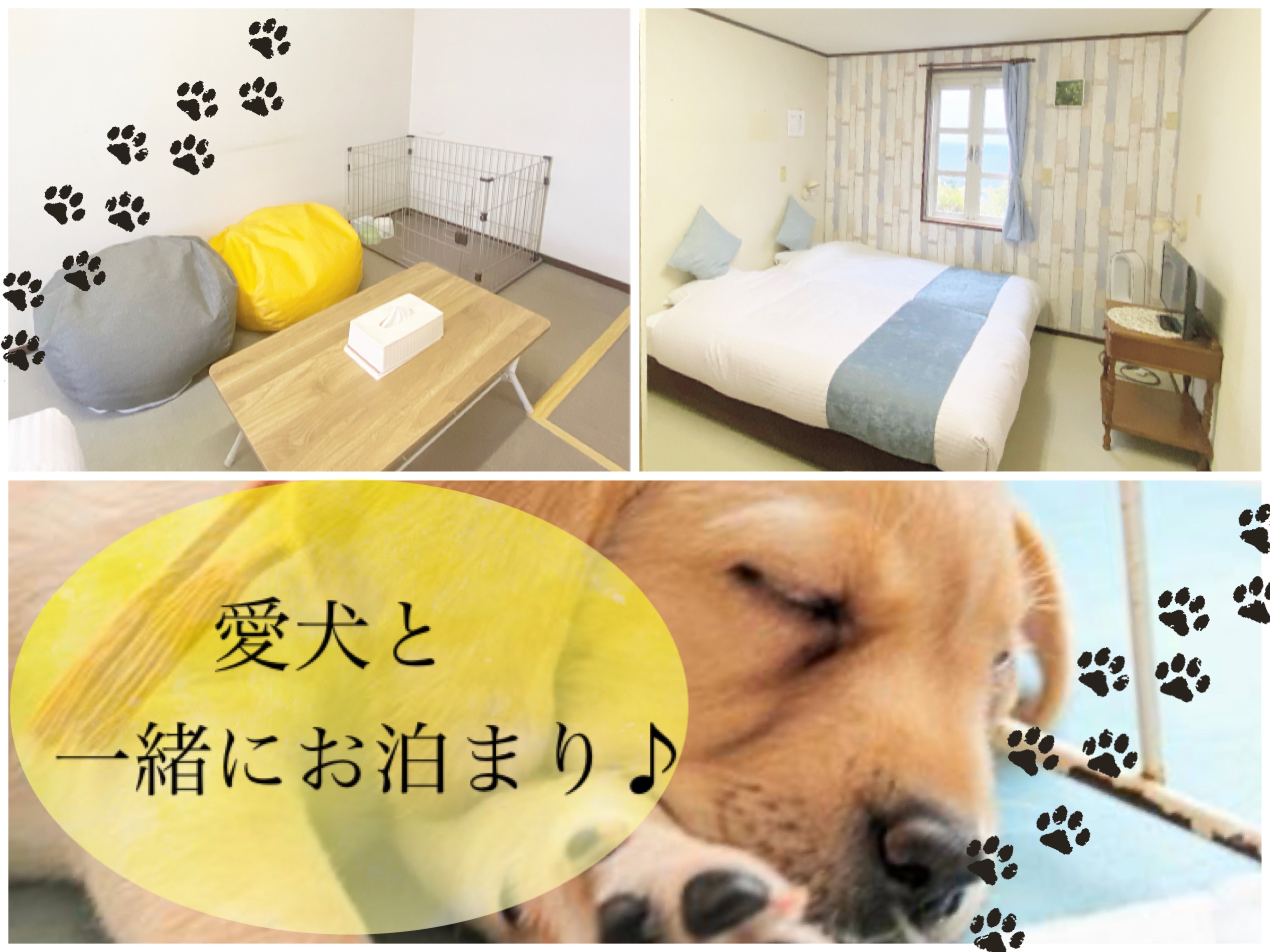 [New pet room♪]