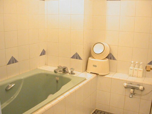 Western-style room (twin, bathtub)