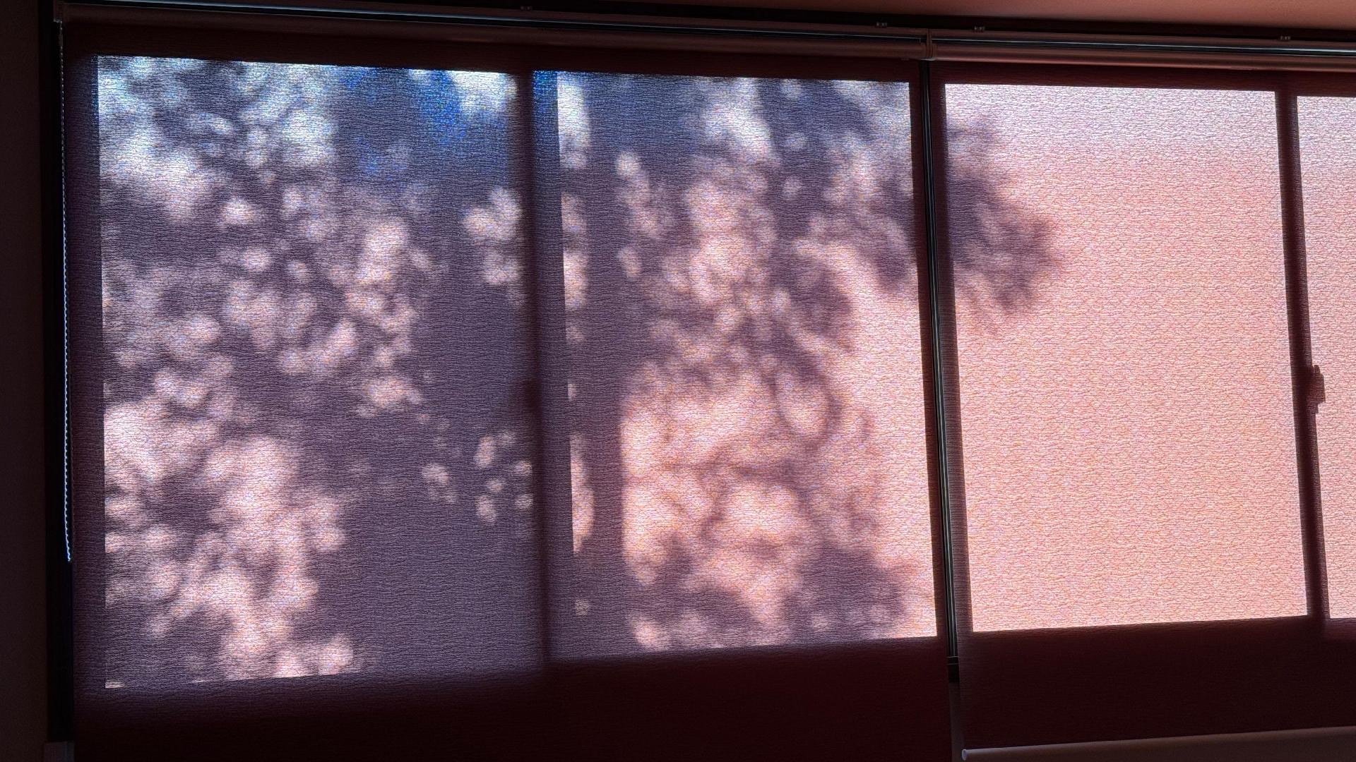 IMG_5068.jpeg