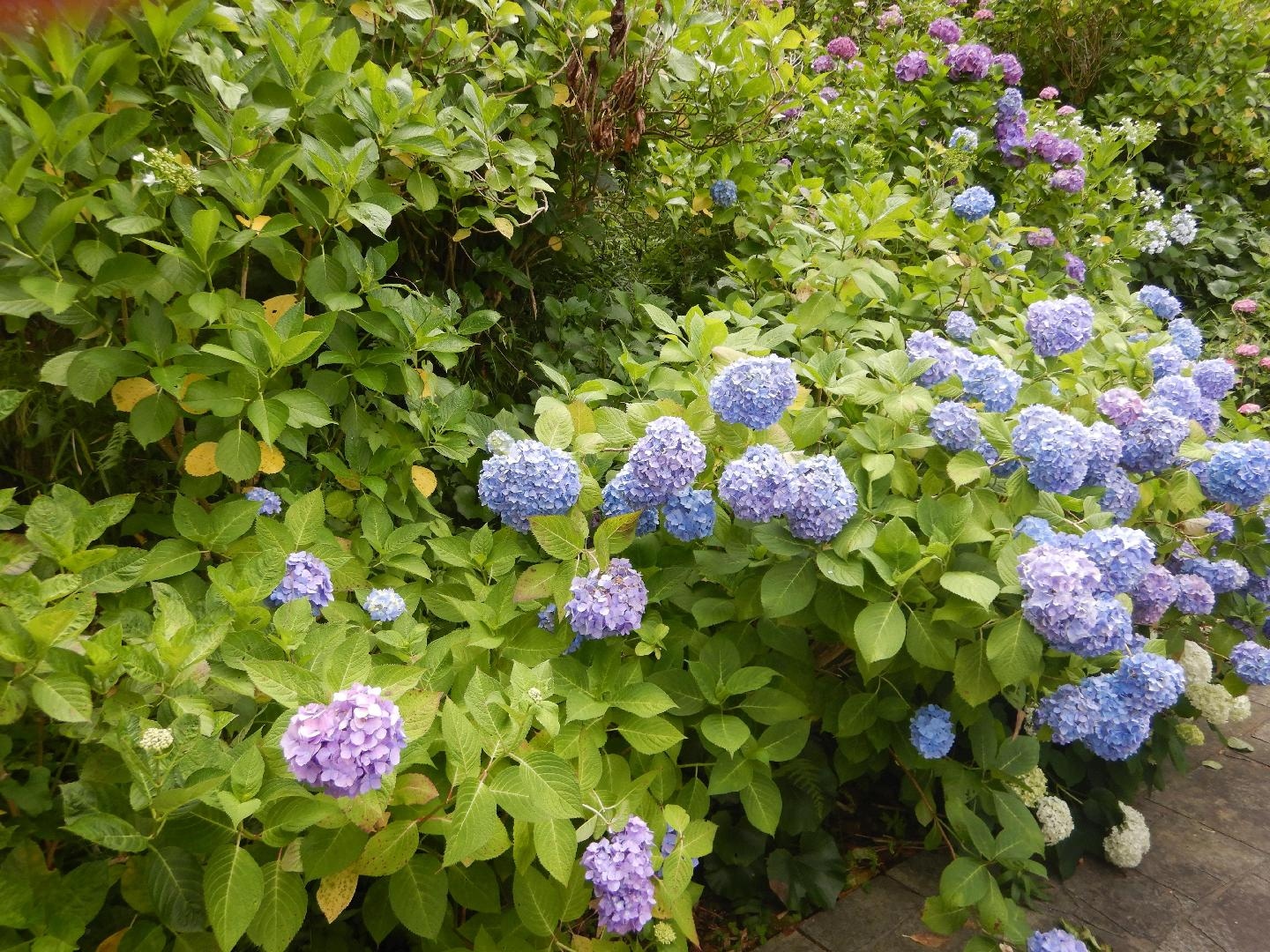 DSCN4549.JPG