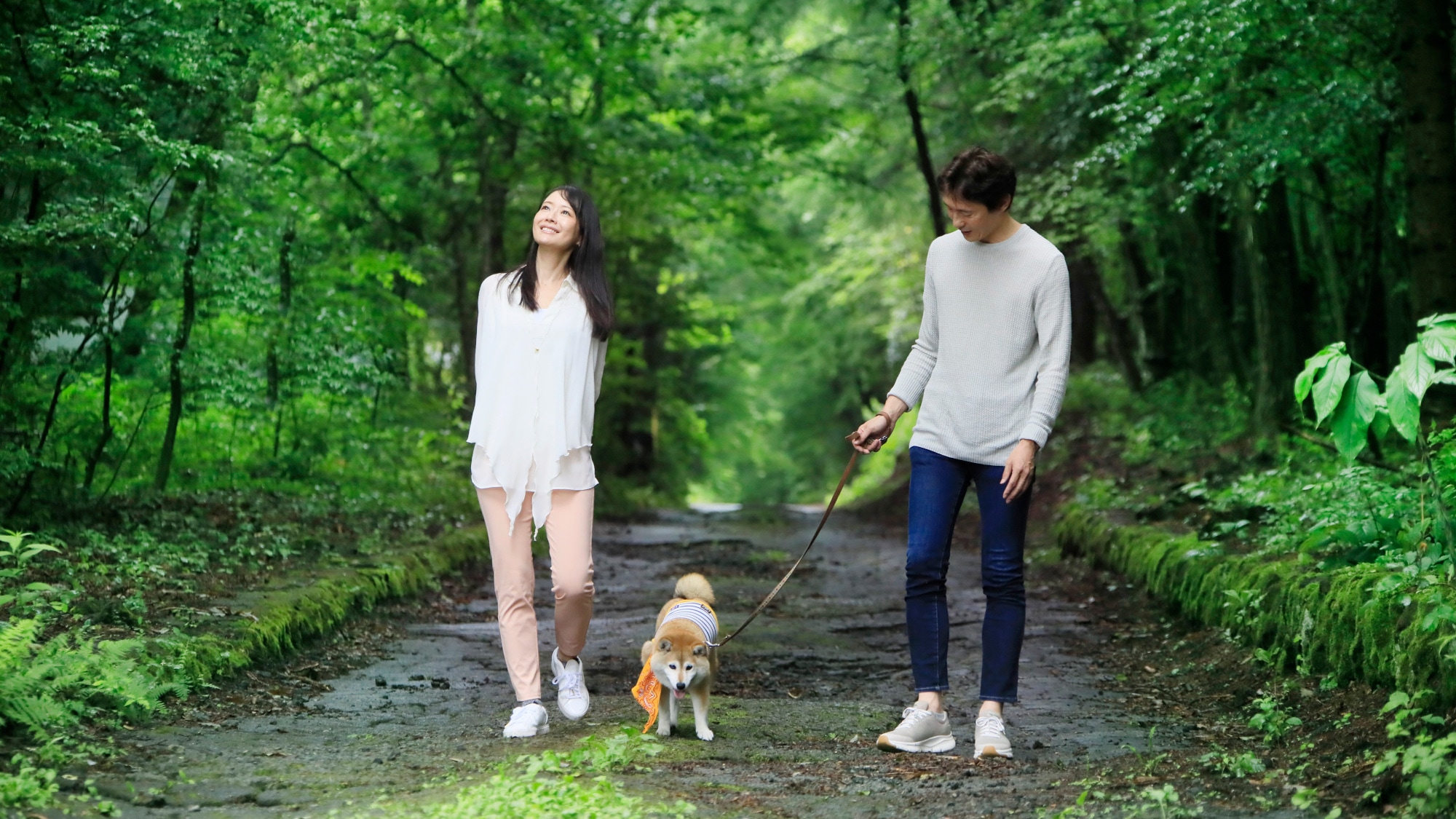 A walking path surrounded by nature in Kitakaruizawa