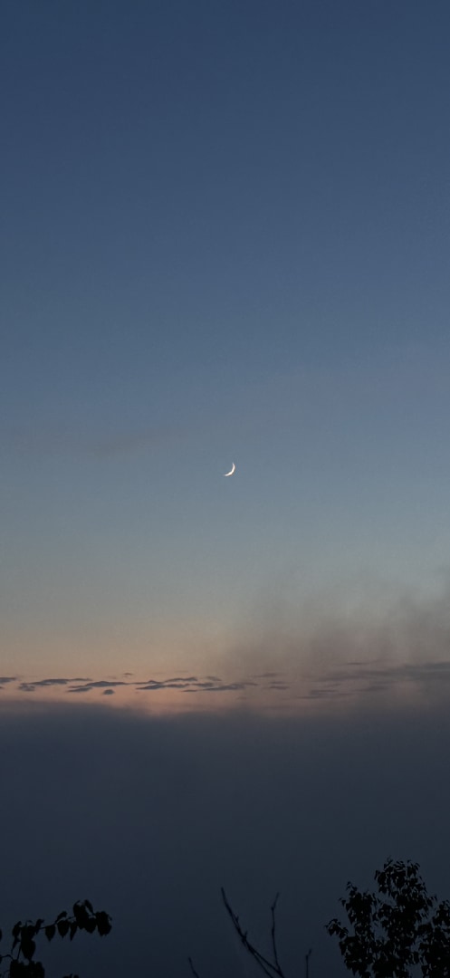A67B98DA-8727-4ABF-80E0-D8D8C53B511C.png