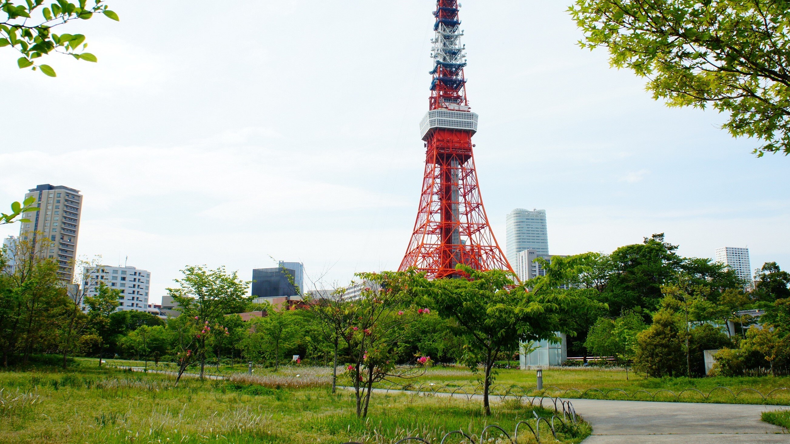 Prince Shiba Park (image)