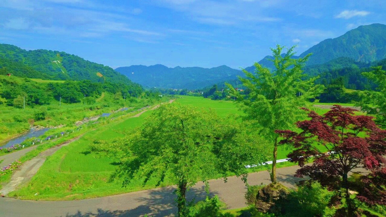 日式房間 10張榻榻米雙人房