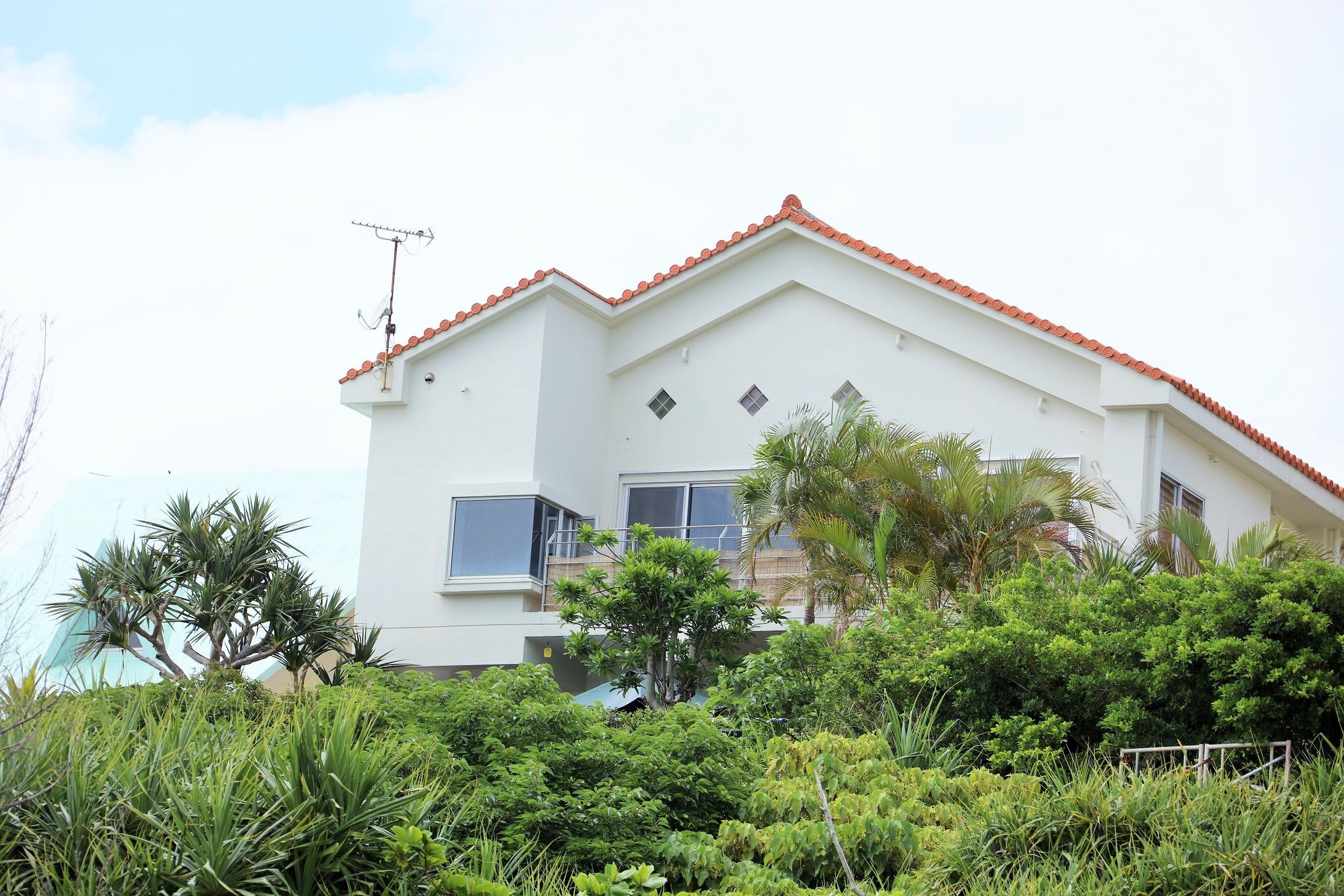 Toàn bộ tòa nhà